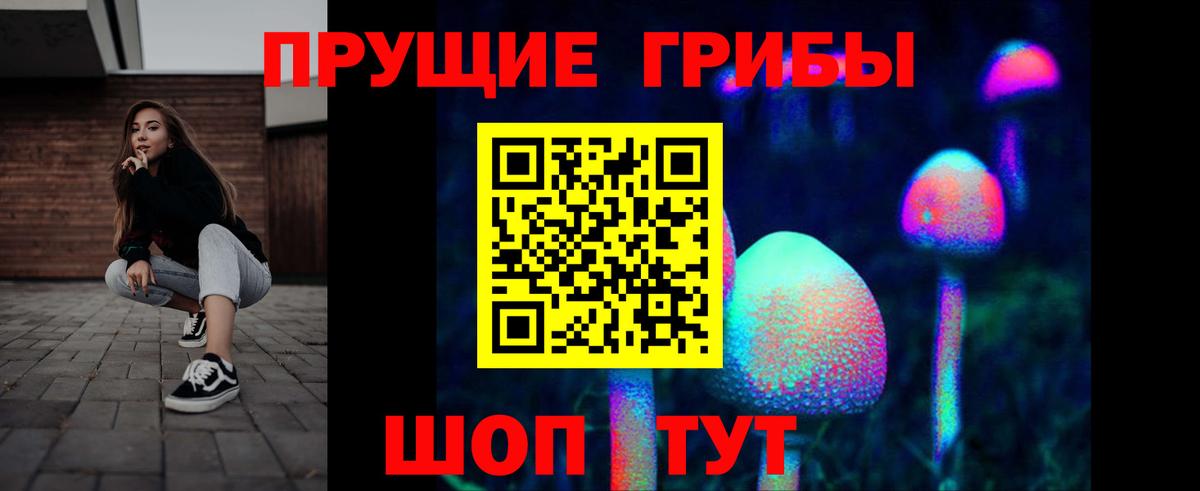 Фурманов  Псилоцибиновые грибы Psilocybine cubensis  Псилоцибиновые грибы мухоморы  Вход с VPN 